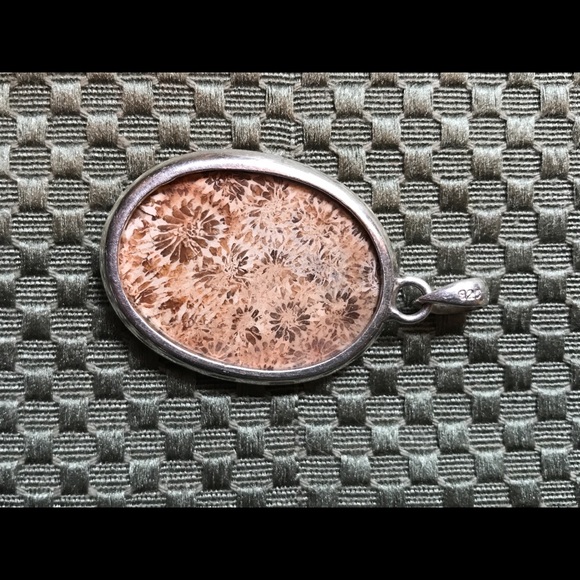 Starburst Jasper Cabochon Silver Bezel Pendant - Picture 3 of 4